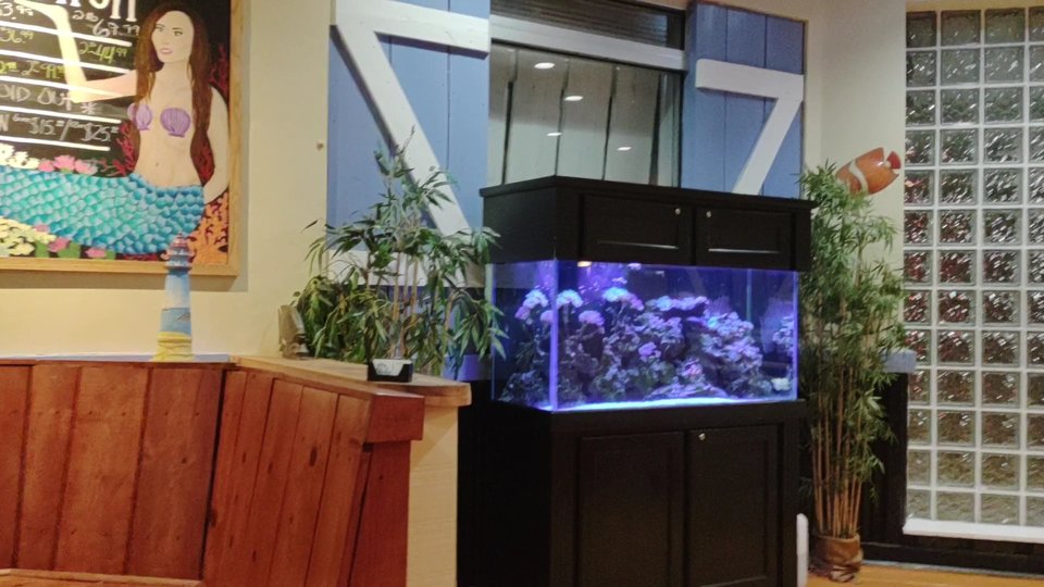 Seafood restaurant dining area with a casual atmosphere.